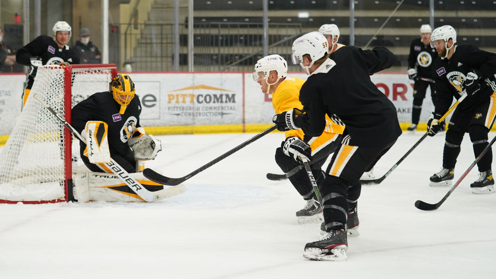 penguins-practice-11-a-m